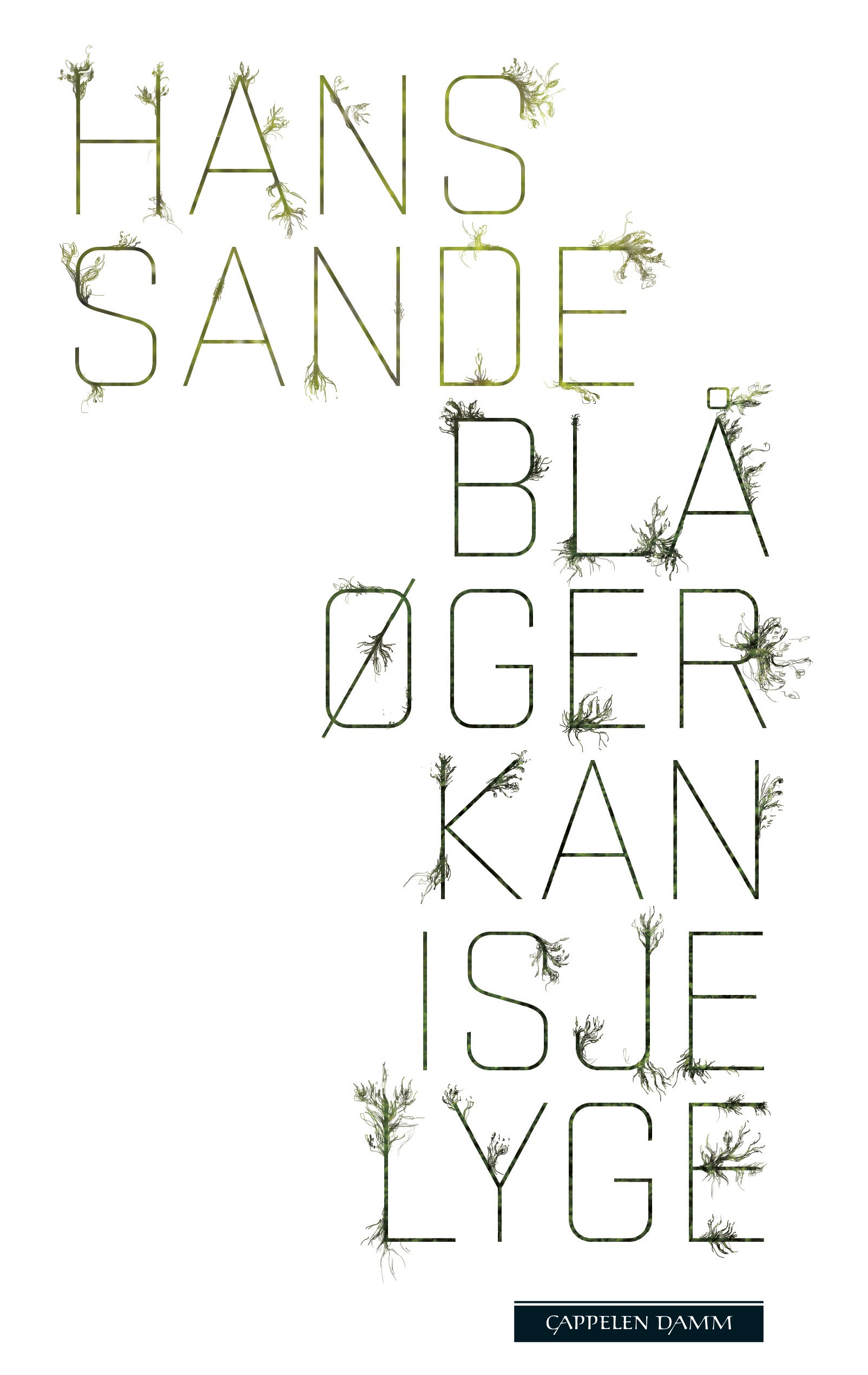 Sande_BlaOgerKanIsjeLyge.jpg